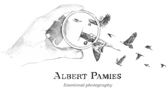 Fotógrafo de bodas Málaga y Marbella Albert Pamies